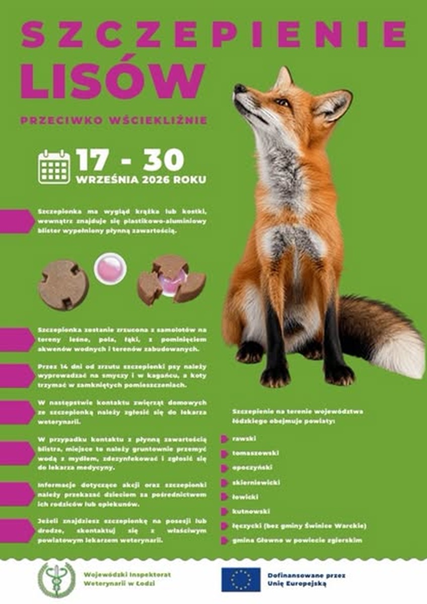 aktualność: Szczepienie lisów wolno żyjących przeciwko wściekliźnie🐕